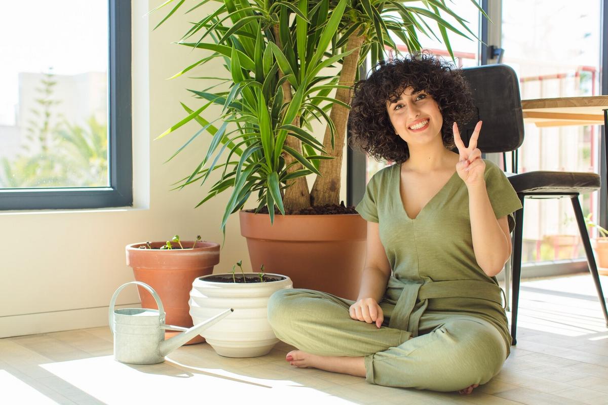 The Art of Feng Shui in Modern Homes
